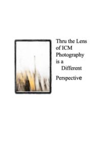 Thru the Lens of ICM is a Different Perspective