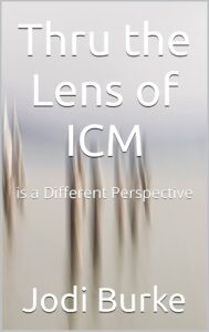 Thru the Lens of ICM is a Different Perspective