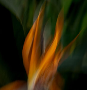 Passion