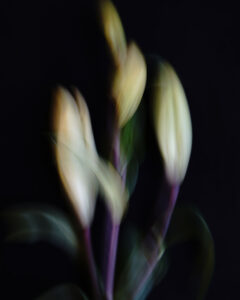 Harmony