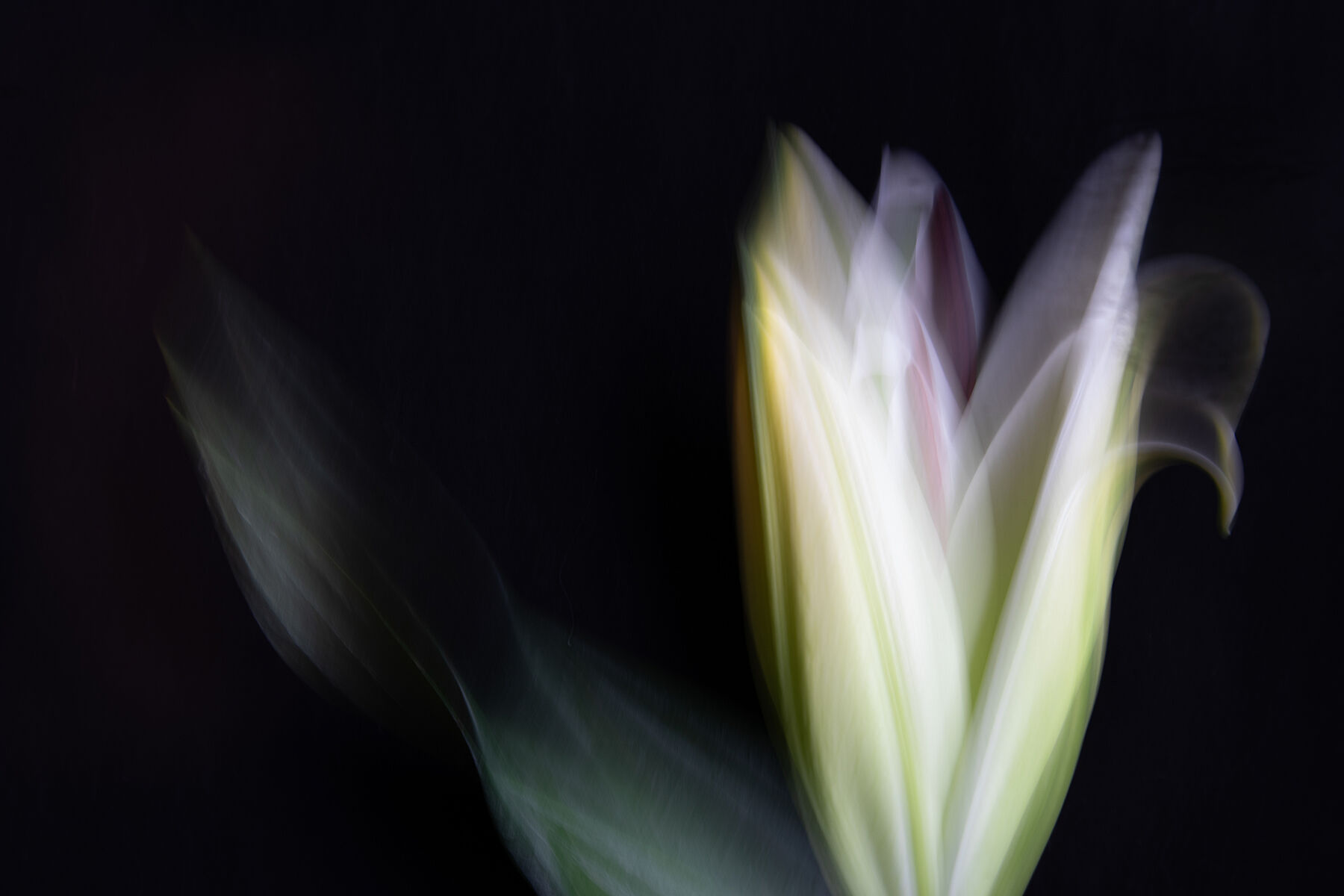 Awakening