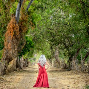 I AM Rewrite - The Identity Shift